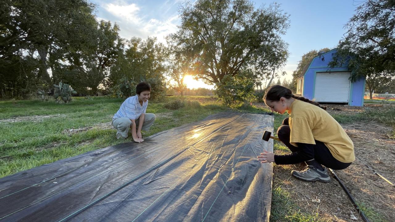Two students are on the ground facing one another to work on a planting project outside
